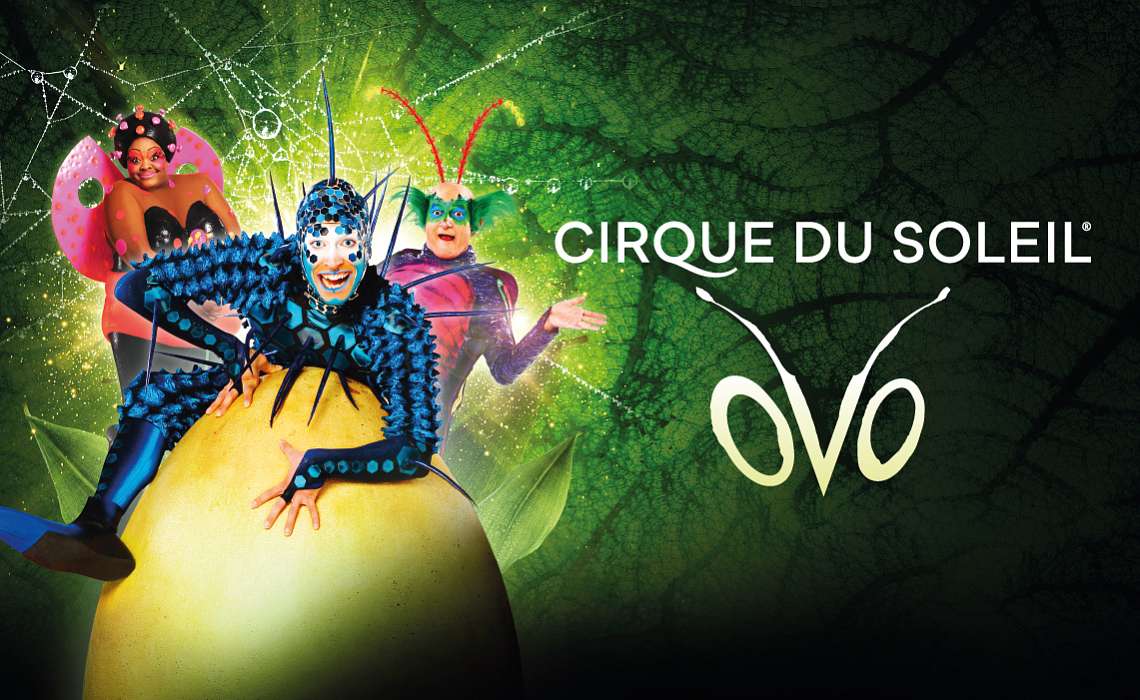 Dernières places pour Ovo du Cirque du Soleil