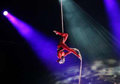 Last tickets for Ovo by Cirque du Soleil