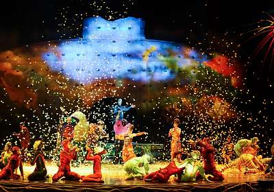 Laatste tickets voor OVO van Cirque du Soleil