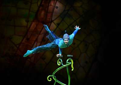Laatste tickets voor OVO van Cirque du Soleil