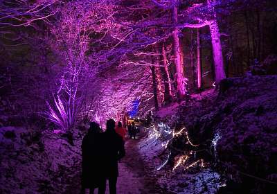 Lanterna Magica RTL Winter Lights