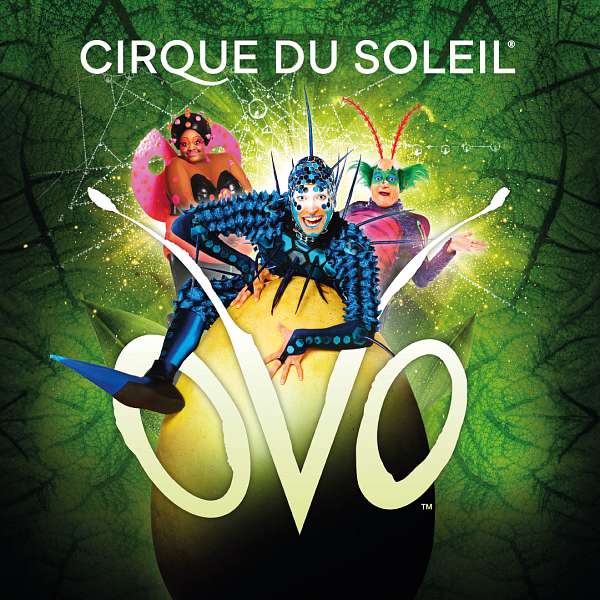 Ovo - Cirque du Soleil